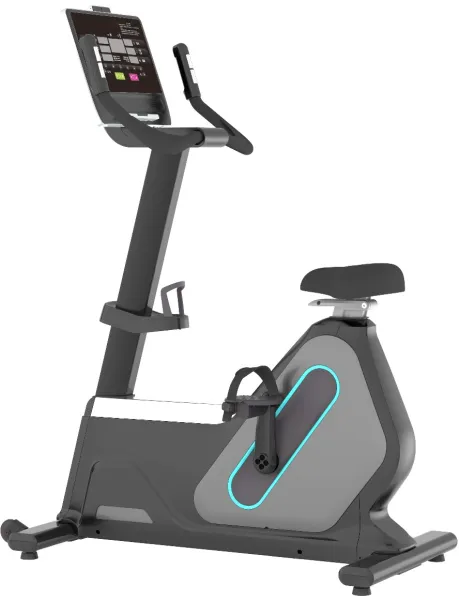 Odin PRO B1200 Träningscykel